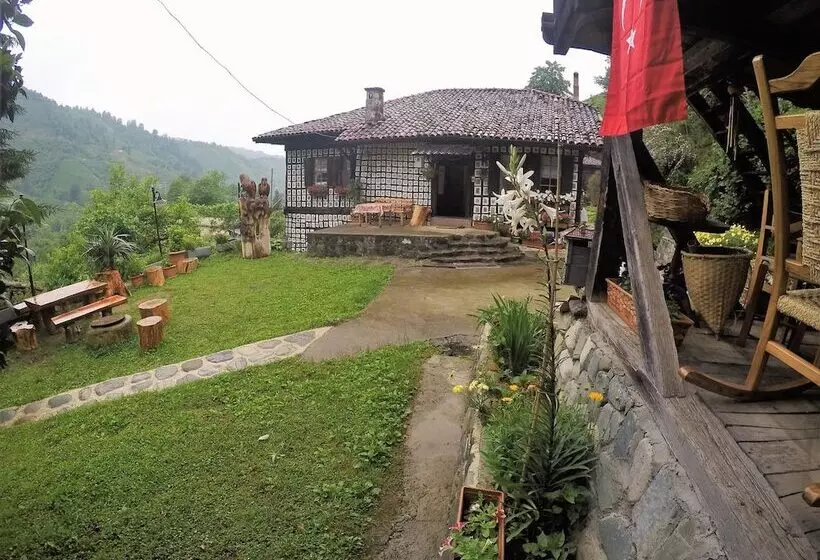 Majatalo Satiroglu Konagi