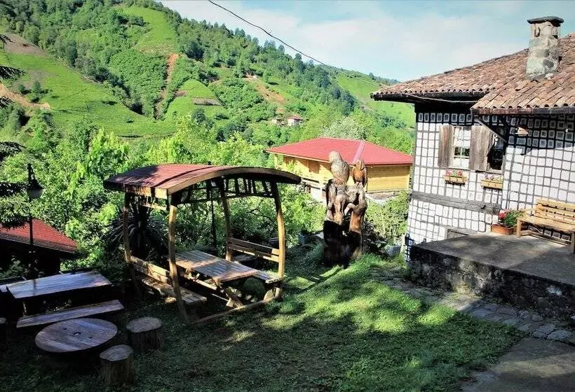 Majatalo Satiroglu Konagi