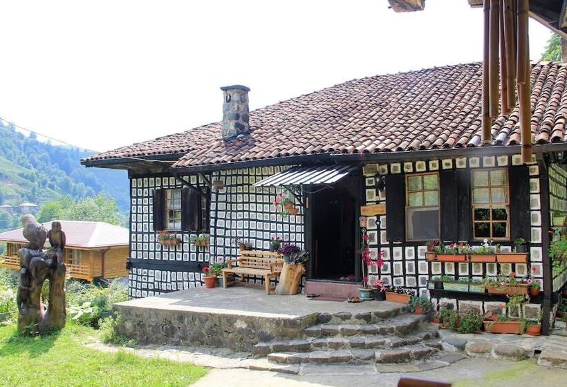 بنسيون Satiroglu Konagi