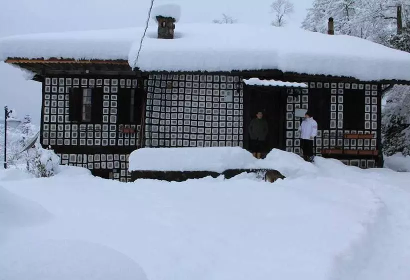 Majatalo Satiroglu Konagi