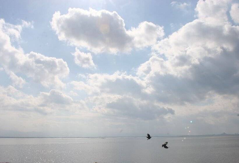 ריוקאן Shokinkan