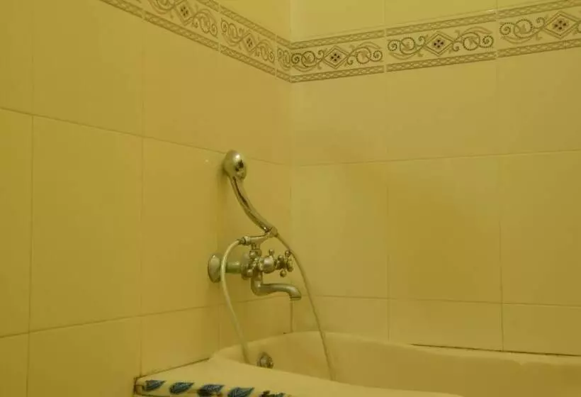 Sea View Palace   The Beach Hotel, Kovalam