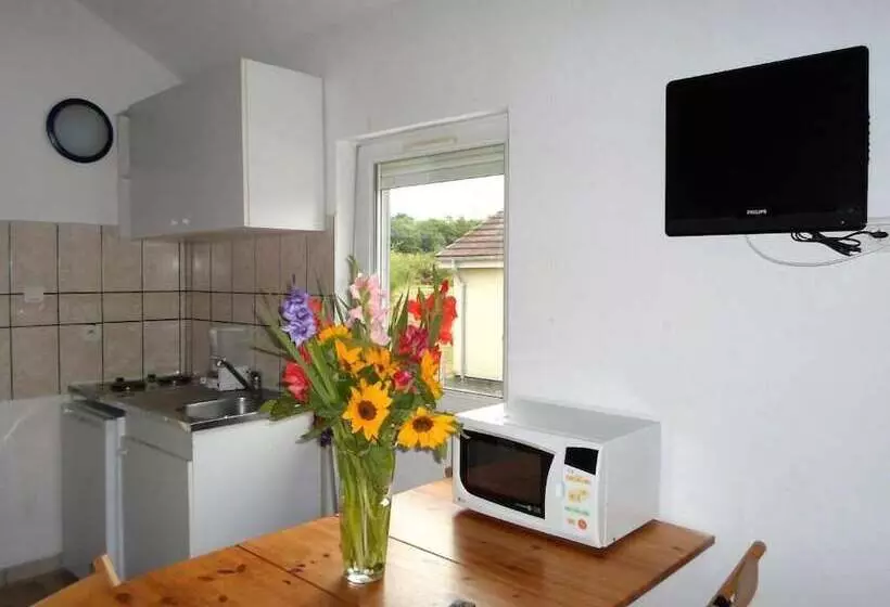 Appart Hotel Les Acacias