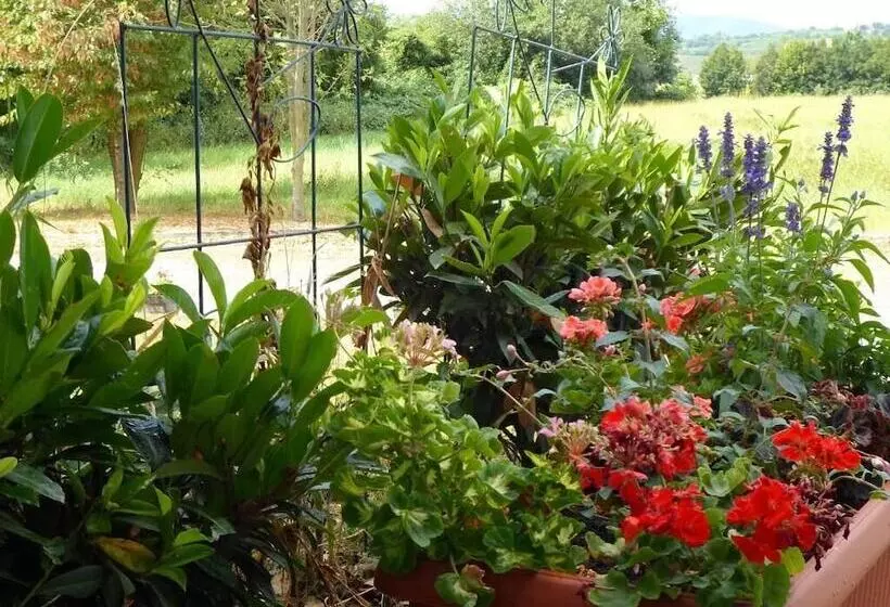 Appart Hotel Les Acacias