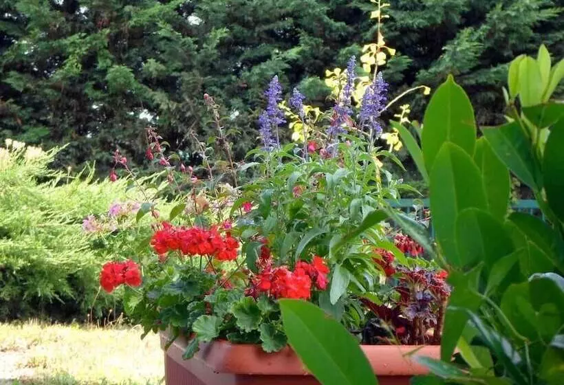 Appart Hotel Les Acacias