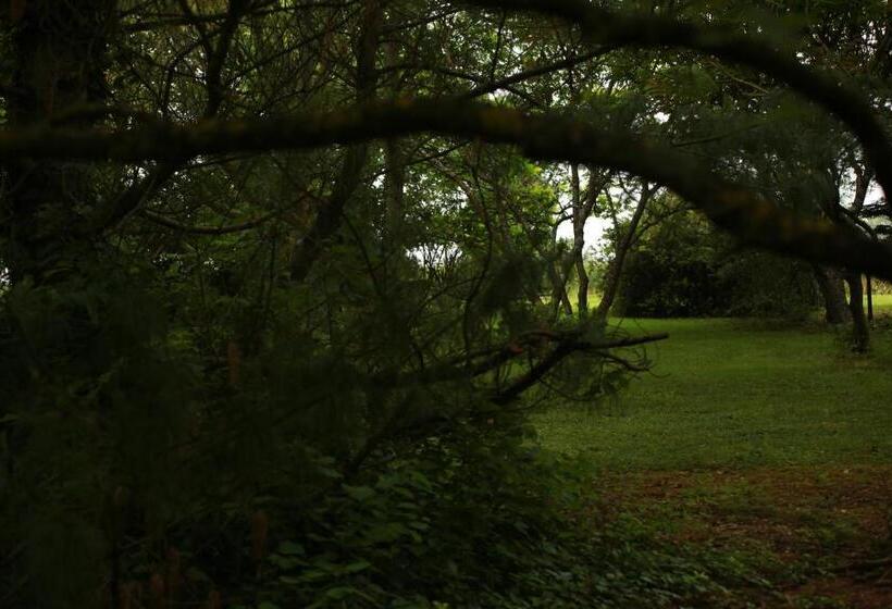 צימר Les Reves De Flamboin