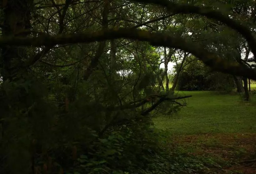 Aamiaismajoitus (B&B) Les Reves De Flamboin