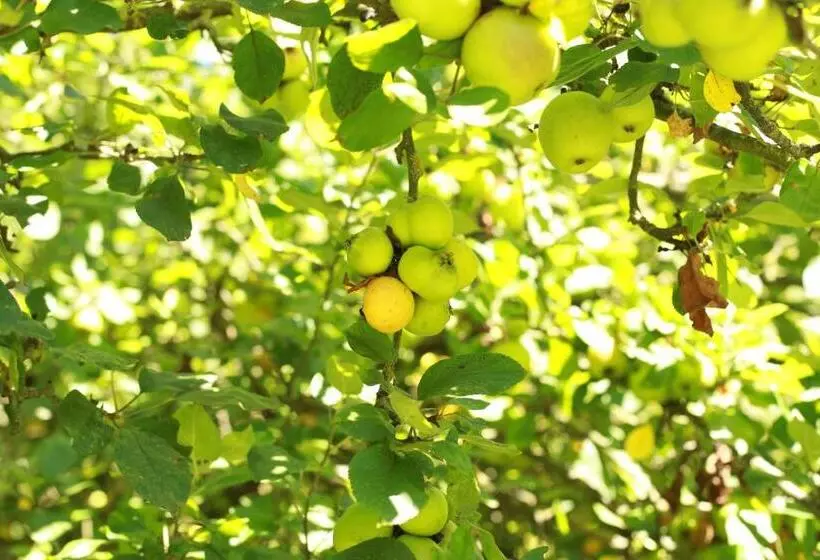 Aamiaismajoitus (B&B) Les Reves De Flamboin