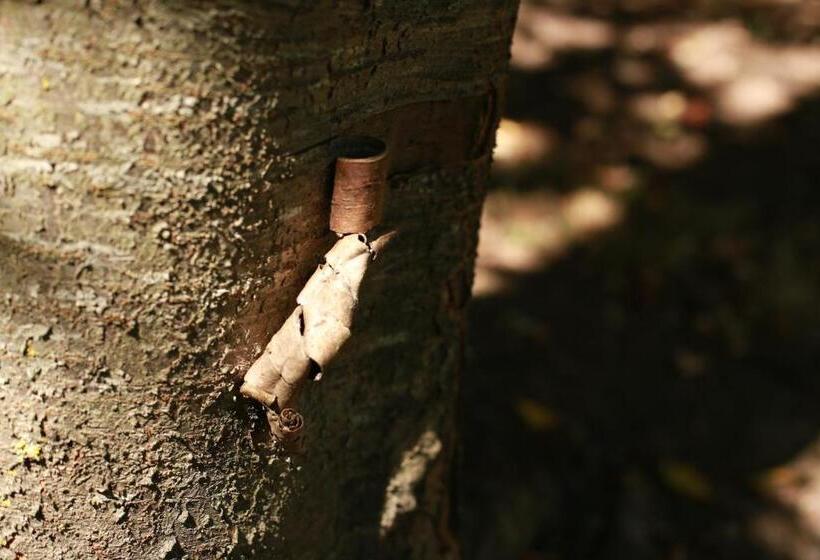 צימר Les Reves De Flamboin