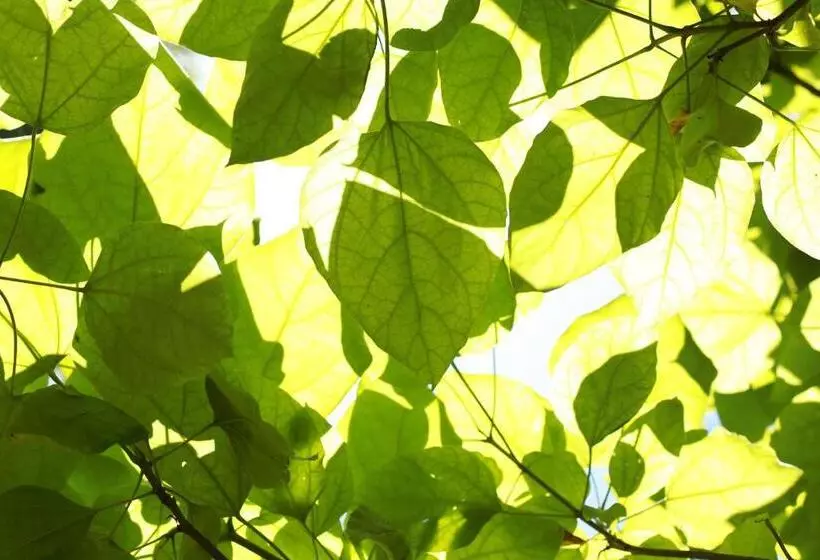 Aamiaismajoitus (B&B) Les Reves De Flamboin