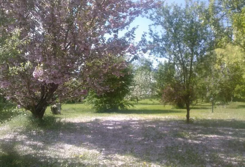 Aamiaismajoitus (B&B) Les Reves De Flamboin