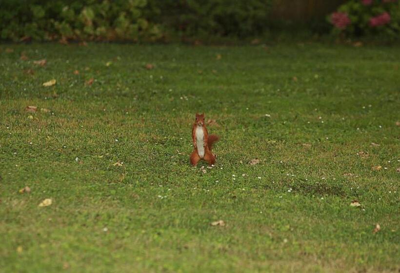 צימר Les Reves De Flamboin
