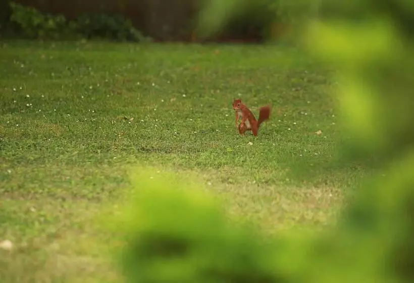 Aamiaismajoitus (B&B) Les Reves De Flamboin
