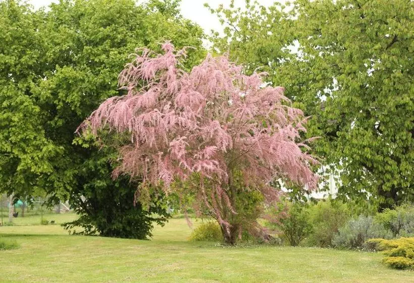 Aamiaismajoitus (B&B) Les Reves De Flamboin