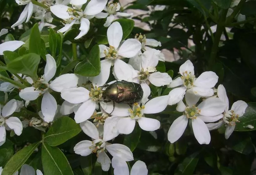 Aamiaismajoitus (B&B) Les Reves De Flamboin