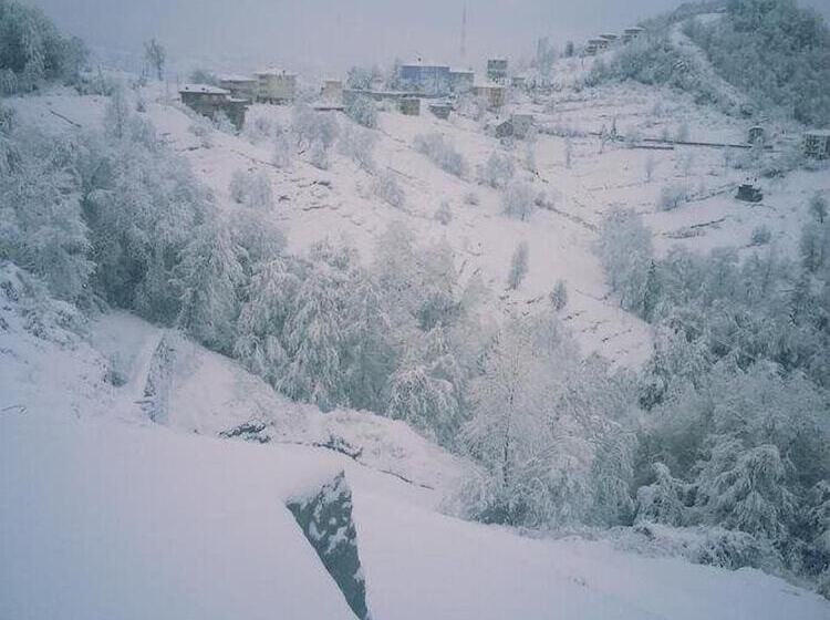 Отель Hasdikoz Abdik