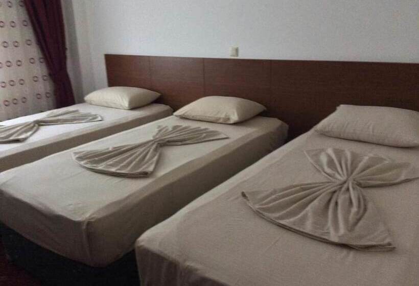 Отель Hasdikoz Abdik