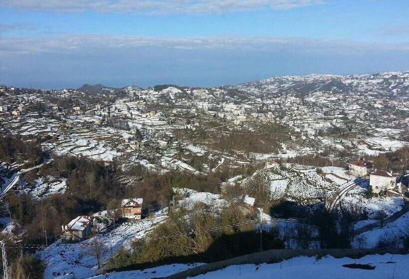 Отель Hasdikoz Abdik