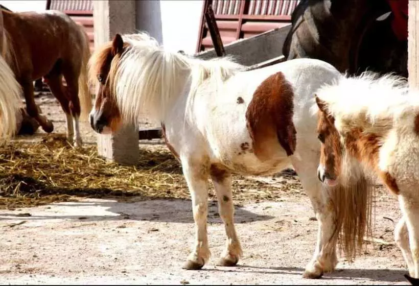 Maaseutuhotelli Le Vallon Vert   Club Equestre