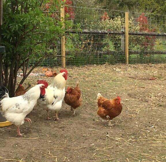 פנסיון Le Prieure D'orchaise