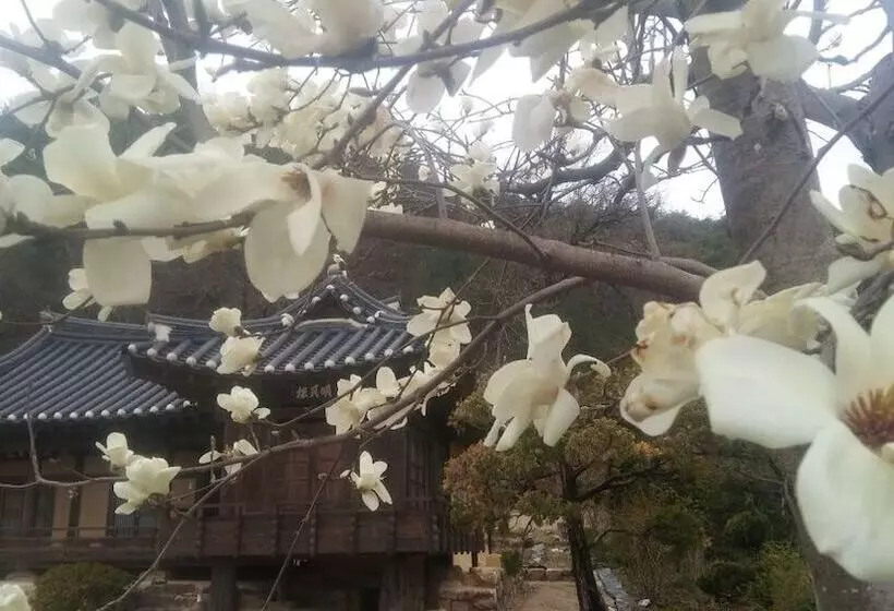 Majatalo Manhoe Gotaek