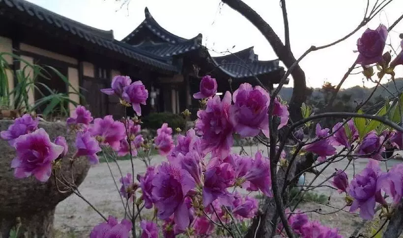 Majatalo Manhoe Gotaek