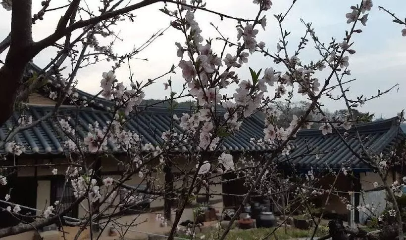 Majatalo Manhoe Gotaek