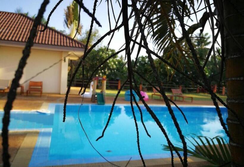 بنسيون Sleep Soundly By The Sea