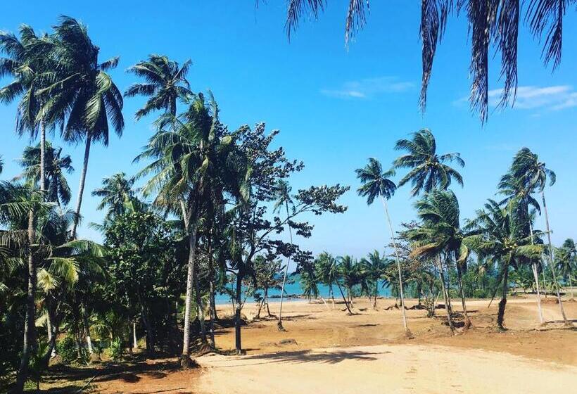 بنسيون Sleep Soundly By The Sea