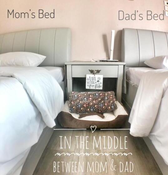 بنسيون Sleep Soundly By The Sea