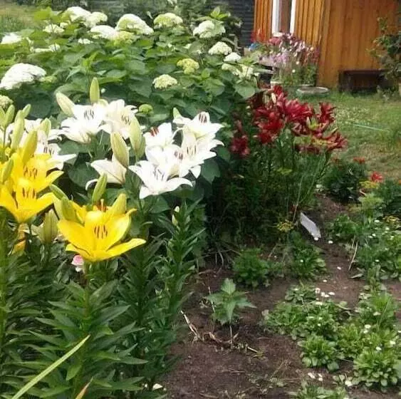 Tur   Otel Chemal   Hostel