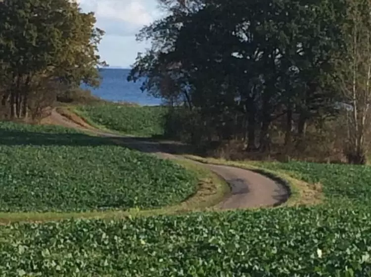 Aamiaismajoitus (B&B) Bjørnegården Land