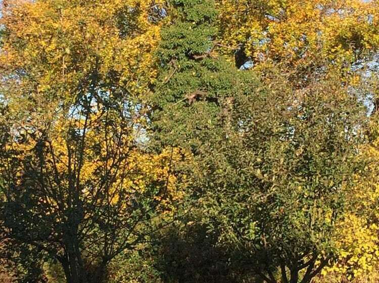 ベッドアンドブレックファースト Bjørnegården Land