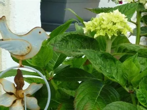 ベッドアンドブレックファースト Chambres D Hôtes Les Champs Français