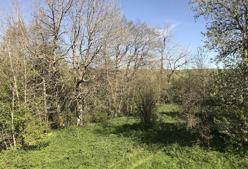 مبيت وإفطار Chambres D'hôtes Beluga