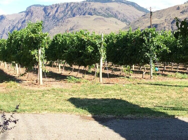 צימר Crowsnest Vineyards Guesthouse