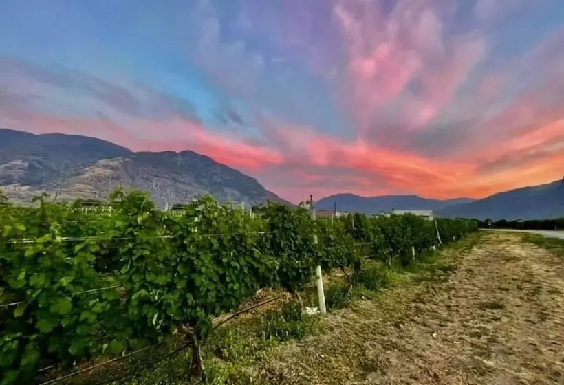 Bed and Breakfast Crowsnest Vineyards Guesthouse