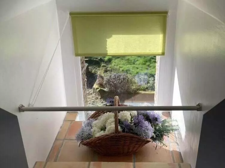 Aamiaismajoitus (B&B) La Marmoire