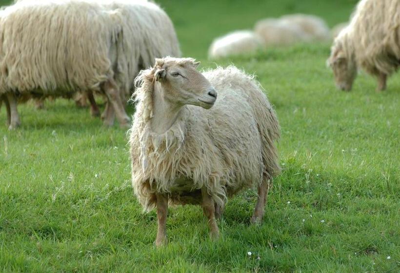 צימר Maison  Elixondoa