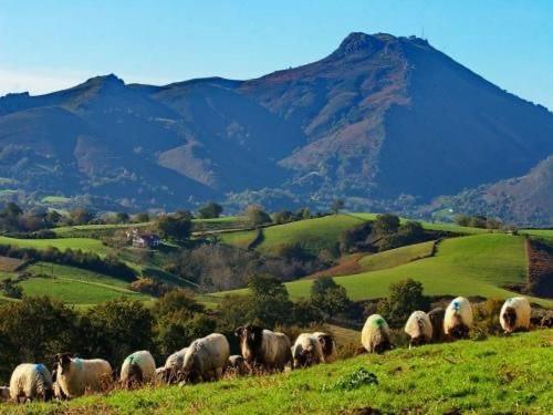 צימר Maison  Elixondoa