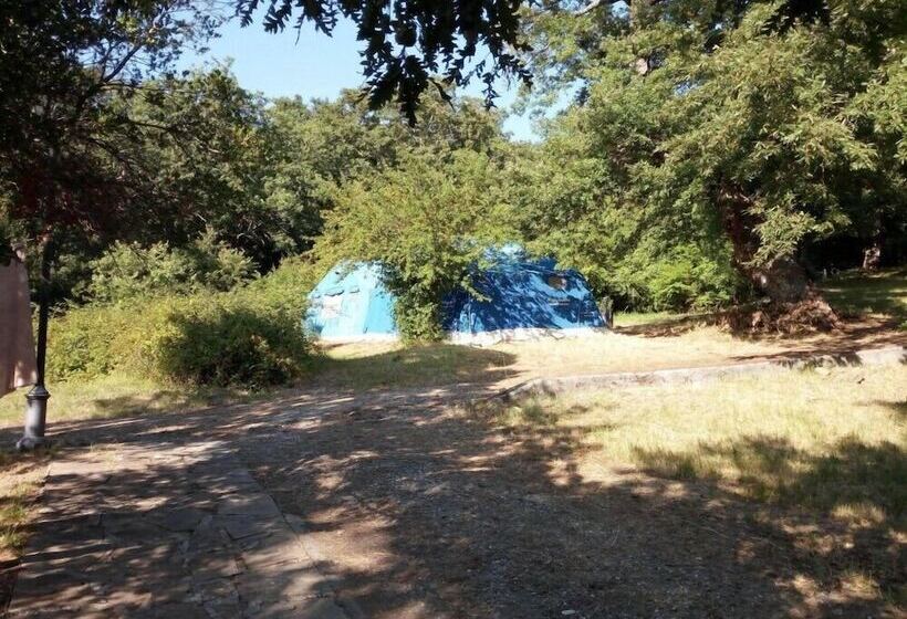 여관 Parco Dei Crisciuni Villaggio Camping