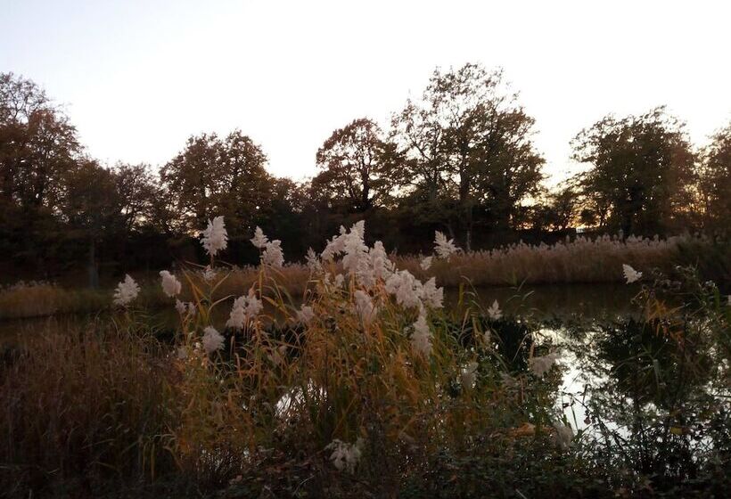 여관 Parco Dei Crisciuni Villaggio Camping