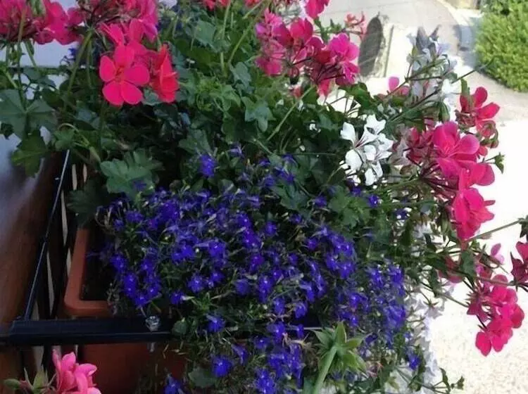 Maaseutuhotelli Agriturismo Bressani