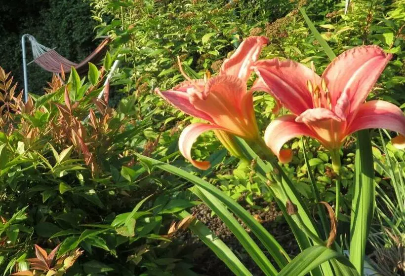 ペンション Chambres D Hotes L’echappee Belle