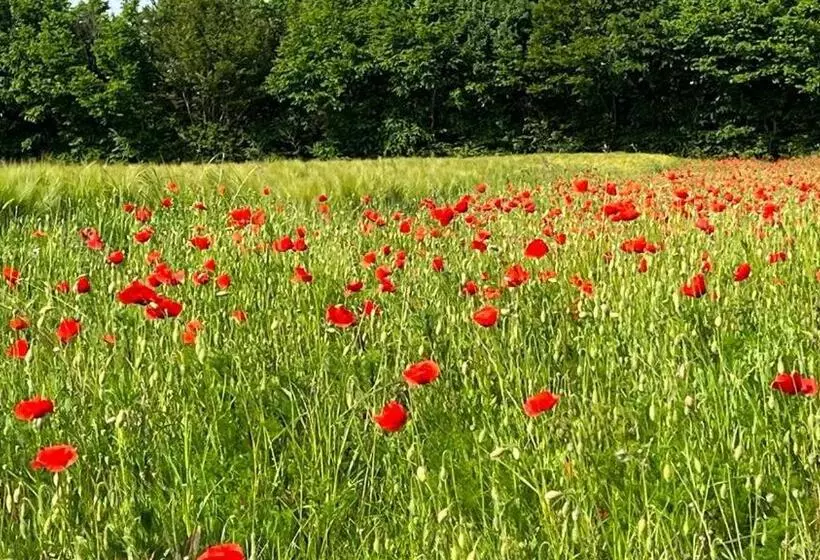 Majatalo Tendance Campagne Chambre D Hôtes