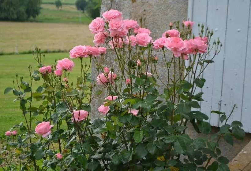 ベッドアンドブレックファースト Chateau De Sury