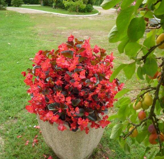 צימר Les Sureaux