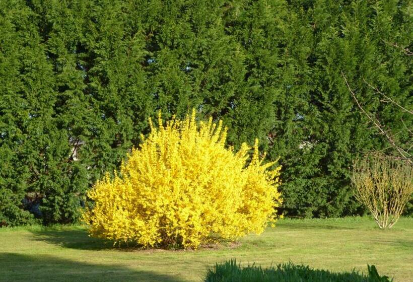 צימר Les Sureaux