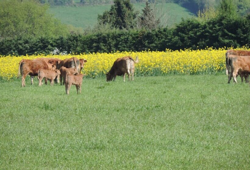 مبيت وإفطار Les Vergers De La Vicomté D Auge