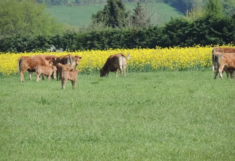 Aamiaismajoitus (B&B) Les Vergers De La Vicomté D Auge